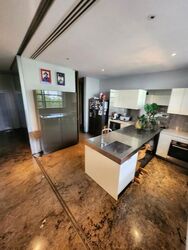 Nassim Park Residences (D10), Condominium #438049491